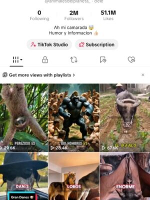 Conta monetizada tiktok 2M de seguidores