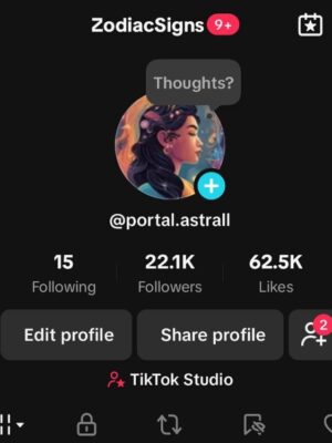Conta tiktok 21K de seguidores