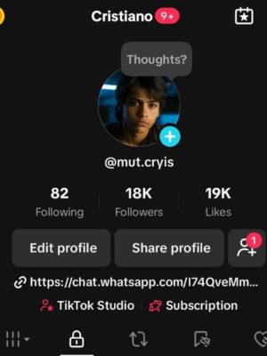 Conta tiktok 17K de seguidores