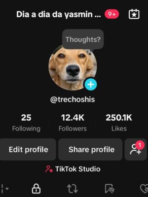Conta monetizada tiktok 12K de seguidores