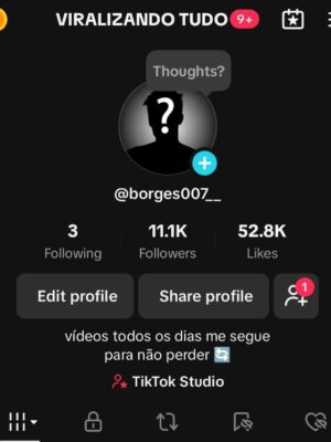 conta monetizada tiktok 11K de seguidores