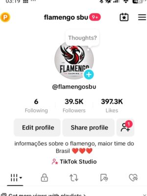 Conta monetizada tiktok 39k de seguidores