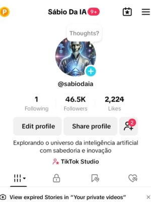 Conta tiktok 46K de seguidores