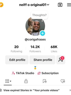 Conta monetizada tiktok 14k de seguidores