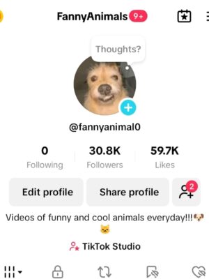 Conta monetizada Tiktok 30K de seguidores