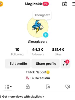 Conta monetizada tiktok 63K de seguidores