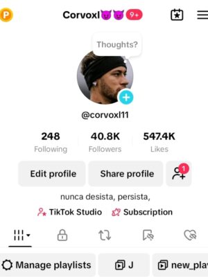 Conta tiktok 40k de seguidores