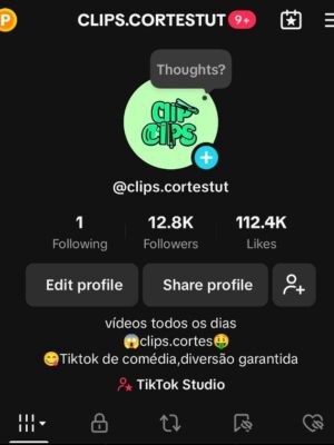 Conta tiktok monetizada 12K de seguidores